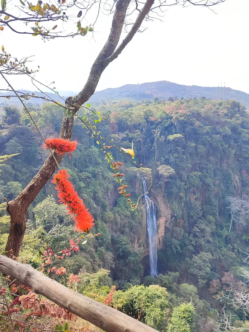 Manchewe-vízesés Livingstonia közelében