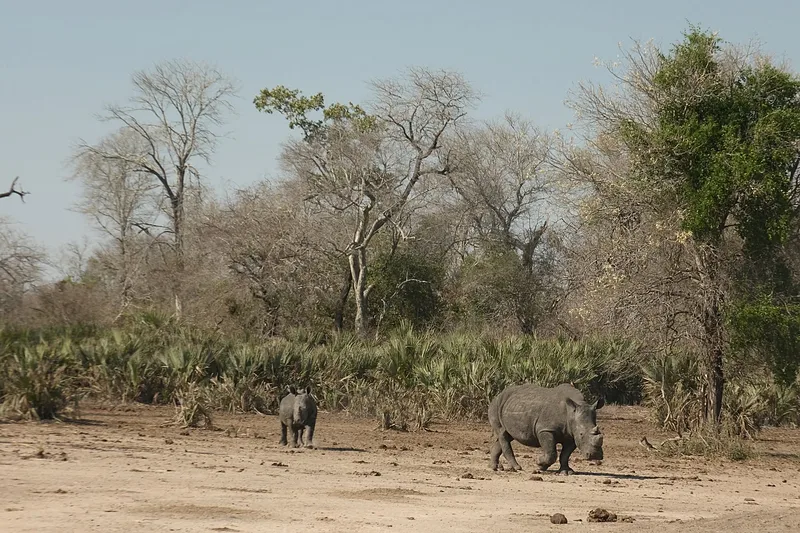 Hajó a Malawi-tavon