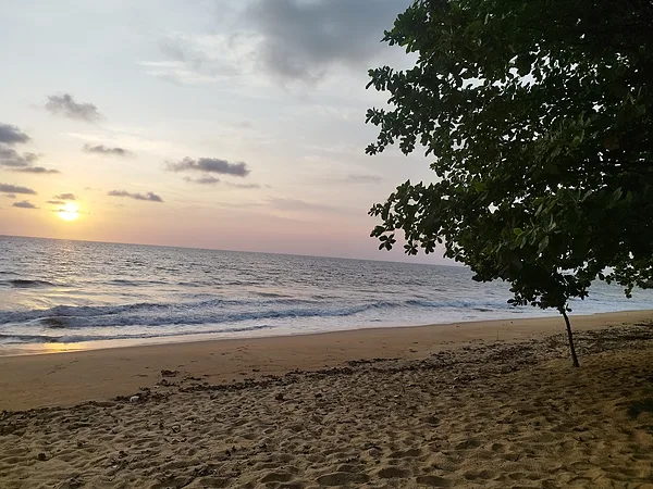 Ebodjé