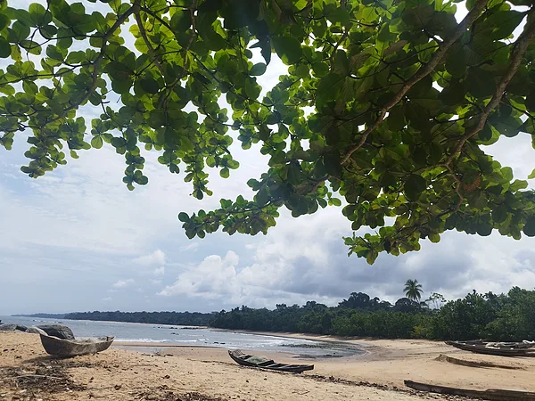 Ebodjé