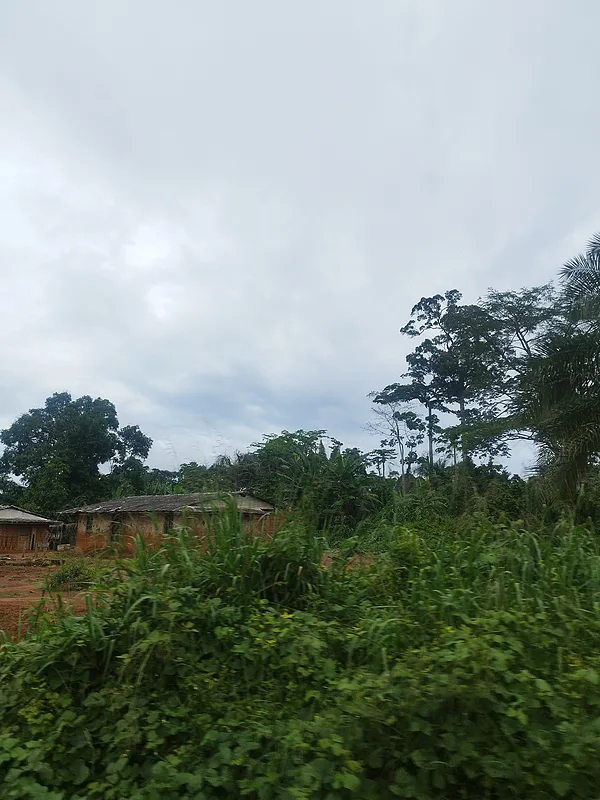 Dél-Kamerun