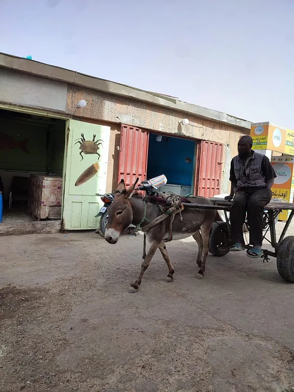 Nouakchott