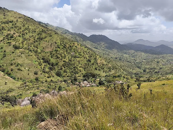 Morungole-hegy