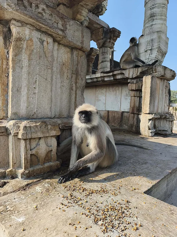 Chittorgarh