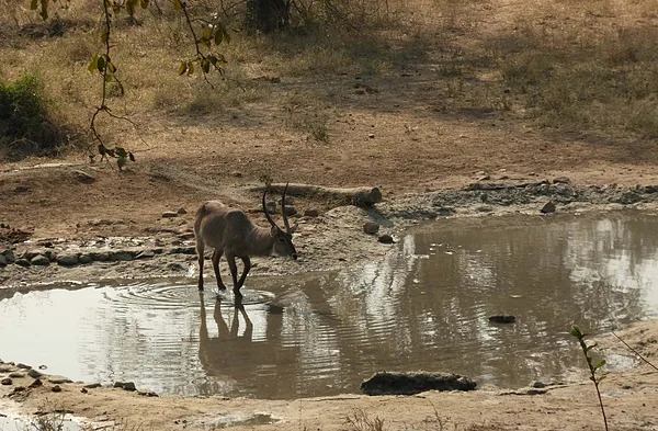 Majete Nemzeti park