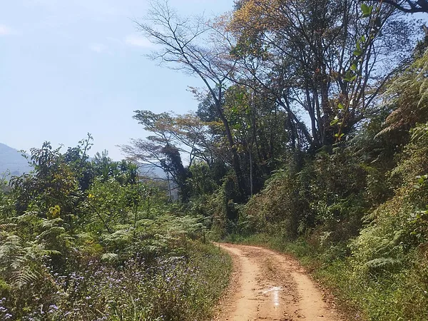 Zomba