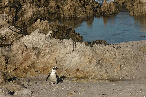 Betty's Bay