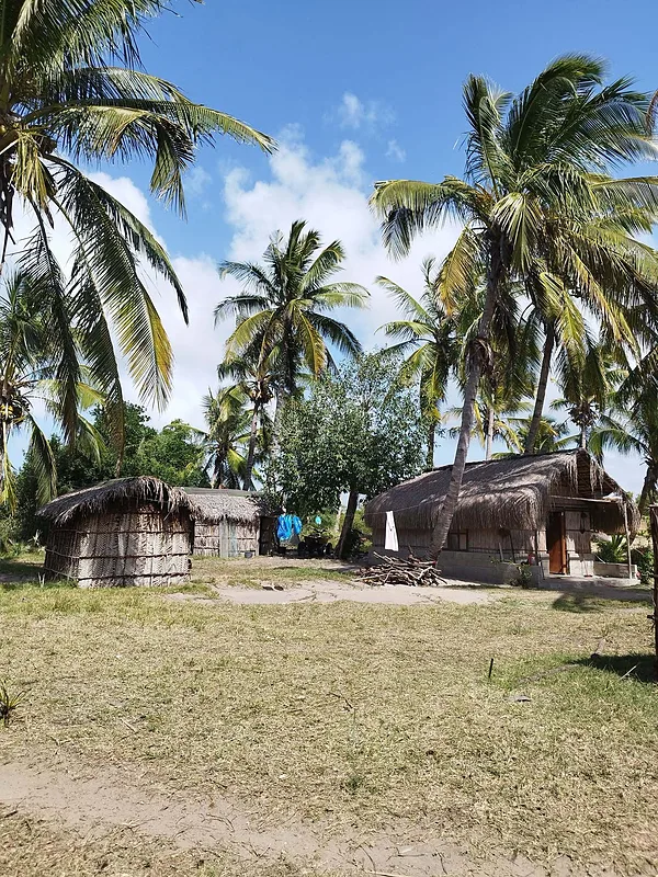 Pomene