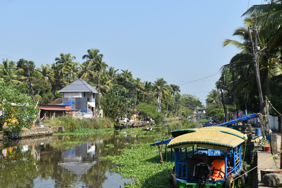 DSC_0062_4.JPG