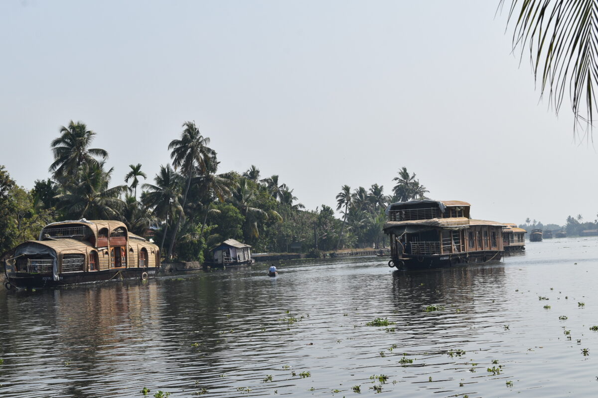 DSC_0085_3.JPG