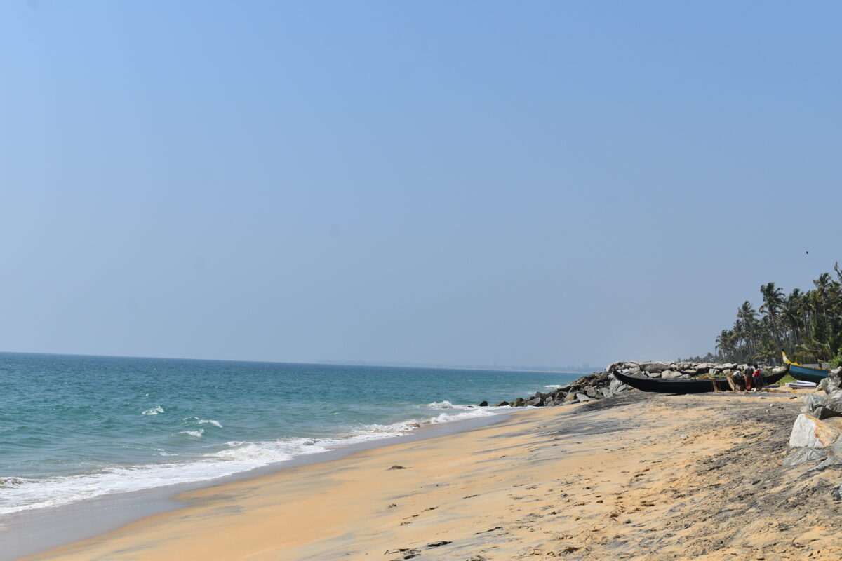 DSC_0222_2.JPG