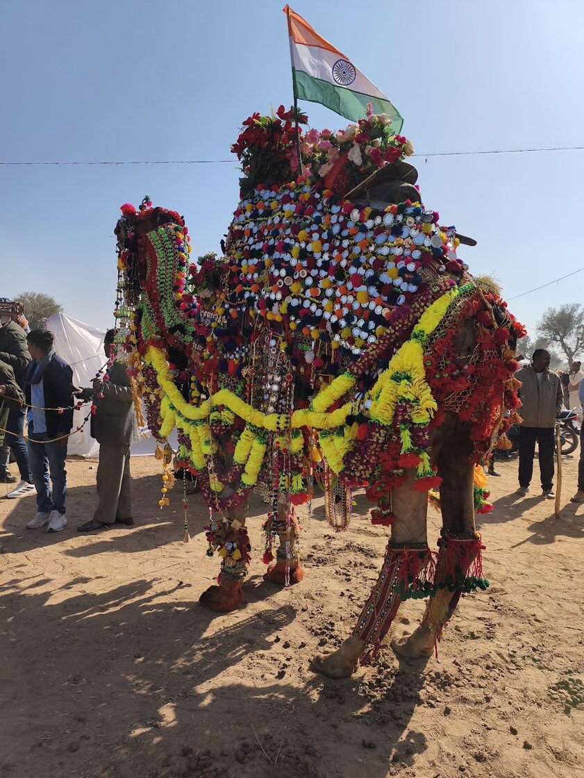 bikaner4.jpg