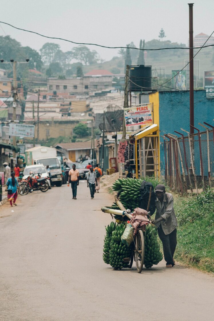 Férfi banánt tol Ugandában egy faluban
